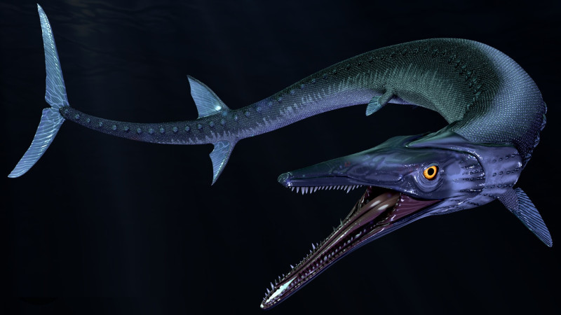 saurichthys