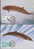 WWF BALEINES MAMMIFERES MARINS 4 CARTES MAXIMUMS DIFFERENTES  DES ILES FEROE   1990 - Ballenas