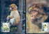 WWF SINGES MACAQUES 4 CARTES MAXIMUMS DIFFERENTES  D ALGERIE  1988 - Singes