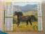 CALENDRIER ALMANACH DES  P.T.T DE 1998   CHEVAUX  INCOMPLET A  INTERIEUR - Big : 1991-00