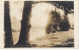 Seaside OR, Necanicum River Woodfield Real Photo Postcard - Other & Unclassified