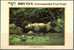 Bhutan Post Card,One Horned Rhinoceros,Printed At Singapore,Issued By Bhutan Post,Buudha On Back - Rhinoceros