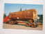 US -Oregon -Giant Fir Log -  Truck    VF    D51524 - Autres & Non Classés