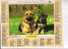 ALMANACH DU FACTEUR -  OLLER -  1996  -  BERGERS ALLEMANDS  -  HUSKY, WESTIE, LABRADOR - Grand Format : 1991-00