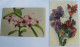 == Niederlanden , 2 Karten Blumen , Fleurs, Orchidees , Orchids  1915 - Lettres & Documents