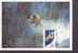 FRANCE CARTE MAXIMUM  NUM.YVERT 3460 SPORT JEUX OLYMPIQUES SNOWBOARD - 2000-2009