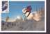 FRANCE CARTE MAXIMUM  NUM.YVERT 3460 SPORT JEUX OLYMPIQUES SNOWBOARD - 2000-2009