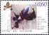 STATO CITTA´ DEL VATICANO - VATIKAN STATE - GIOVANNI PAOLO II ANNO 2004 - MUSEI VALORI 4 - NUOVI MNH ** - Unused Stamps