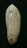 N°3107 // OLIVA  OLIVA  STELLATA  " MADAGASCAR "  //  GEM :  GROSSE : 27,9mm //  PEU COURANTE . - Seashells & Snail-shells