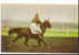 SPORT : HIPPISME--LOUIS SAUVE Sur QUERIDO II-PUBLICITE VINS  POSTILLON- Recto CALENDRIER COURSES SEPT.1967 - Hípica