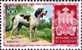 Delcampe - SAN MARINO 1956 CANI SERIE COMPLETA MNH - Unused Stamps
