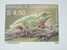 1990 AUSTRIA POSTAL CARD WITH FROG - Frogs