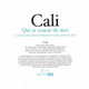 CDS   Cali  "  Qui Se Soucie De Moi  "  Promo  Europe - Collector's Editions