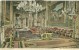 Britain – United Kingdom – The Grand Reception Room, Windsor Castle Early 1900s Unused Postcard [P4515] - Windsor Castle
