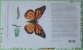 Canada 2009 Benefical Insect Monarch Butterfly Caterpillar - FDC - Gebraucht