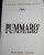 Dossier De Presse : Pummaro' Film De Michele Placido, Cannes 1990 ,14 Pages, Avec 3 Photos Couleurs 20X13 Cm, Texte Angl - Magazines