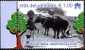 CITTA' DEL VATICANO - VATIKAN STATE - ANNO 2006 - ANNO INTERNAZIONALE DEI DESERTI ** MNH - Unused Stamps