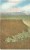 USA – United States – Mt. Jefferson, Oregon, On The Oregon Trunk Ry. Early 1900s Unused Postcard [P6216] - Otros & Sin Clasificación