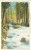 USA – United States – Ashland Creek In Chatauqua Park, Ashland, Oregon, Early 1900s Unused Postcard [P6317] - Sonstige & Ohne Zuordnung