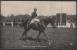 France - Ksar Monte Par Bullock - Horse Show