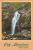 Peavine Falls, Oak Mountain State Park, Pelham, Alabama - Altri & Non Classificati