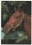 Timbre Yvert N° 1850 / Carte Du 24/8/77 , Fantaisie, 2 Scans - Cartas & Documentos