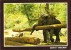 Chiengmai Elephant At Work In Teak Forests North Thailand 1995 - Elefantes