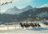 CPA-1960-SUISSE-ST MORITZ-COURSES DE CHEVAUX SUR NEIGE-TBE - Paardensport