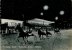 MONTECATINI TERME. CORSA DI CAVALLI NOTTURNA NELL'IPPODROMO SESANA. BELLA CARTOLINA DEL 1930 - Horse Show