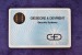 FRANCE - Flonic - G&D Demo - Fascimile Chip / Specimen - RARE - Holographic Phonecards