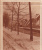 Termonde / Dendermonde Prachtige Foto's En Onderdeel Tijdschrift:  Le Patriote -  Winter 1929 - Dendermonde