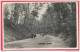 Nederland Rhenen Grebbeweg Real Photo, 5 Cent Green Gull  Stamp Forest Wood Path People Circulated - Rhenen