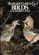 1980 - Neil ARDLEY - Illustrated Guide To Birds And Birdwatching - Wildlife