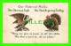 THANKSGIVING - OUR NATIONAL BIRDS - THE AMERICAN EAGLE &amp; THE TURKEY - WRITTEN - UNDIVIDED BACK - EMBOSSED - - Thanksgiving