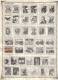 CZECHOSLOVAKIA    Collection Of  Mounted Mint And Used As Per Scan. ( 4 SCANS) - Collections, Lots & Séries