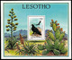 (013+20) Lesotho  Birds Of Prey / Oiseaux Rapaces / Greifvögel / Roofvogels   ** / Mnh  Michel 556-59 + BL 30 - Lesotho (1966-...)