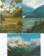 CHINA SCENIC TIBET 10 POST CARDS NEW TIBET VIEWS, BRIDGE, MOUNTAINS, SHEEPS,FARM, BIRDS, FLOWERS - Tibet