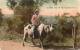 Another Use Of Carabao Philippines 1905 Postcard - Filipinas