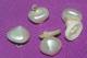 Lot De 6 Splendides BOUTONS NACRE PYRAMIDES  Pour Corsage - Buttons