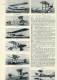 Magazine FLIGHT - 1 July 1955 - (3105) - Aviation