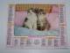 1985 CALENDRIER (double) ALMANACH DES PTT, P.T.T, JEAN LAVIGNE, CHIOTS, CHATONS, ARDENNES 08 - Grand Format : 1981-90