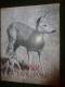 1952  N° 9    PLAISIR De La CHASSE... Voir Aussi : Eléphant Du Gabon.... Envoi Gratuit Pour La France Et Le Monde Entier - Chasse/Pêche