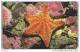 Isle Of Man, MAN 170, 2 £, Red Cushian Starfish, 2 Scans. - Man (Eiland)