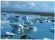 ICELAND/ISLAND - ICEBLOCKS IN THE RIVER JOKULSA / THEMATIC STAMP-INSECT-FLY - Islandia