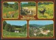 HEILIGENBRÜCKEN Wildpark Spessart Aschaffenburg 1989 - Aschaffenburg