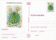 CACTUSSES, 6XPC STATIONERY, ENTIERE POSTAUX, 1997, ROMANIA - Cactusses