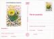 Delcampe - CACTUSSES, 6XPC STATIONERY, ENTIERE POSTAUX, 1997, ROMANIA - Cactusses