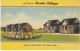 Fort Smith AR Arkansas, Burkes Cottages, Motel Lodging, C1930s/40s Vintage Linen Postcard - Fort Smith