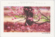 Delcampe - AKJP Japan Postcards Takamatsu - Ritsurin Garden  - Lotus Flowers - Cherry Blossom - Crane - Tea Ceremony House - Collections & Lots