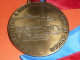 Rare Médaille En Bronze Ou Simili, Confrérie Des Chevaliers Du Goute-Andouille De Jargeau 45 - Professionnels / De Société